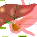 태광프라자약국 이미지