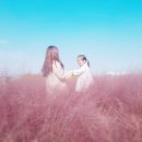바람새마을 이미지