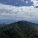 야시대로 이미지