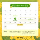 바오스토어