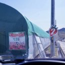 다산딸기수출 이미지