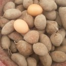 강산슈퍼 이미지