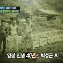 일월산양봉원
