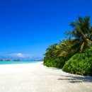 카리브해 이미지