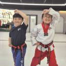 국가대표라이온태권도장