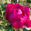 명관농장 이미지