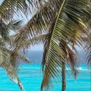 남해-135 이미지