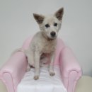 사림동225 이미지