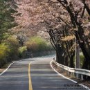 태평요양병원 이미지