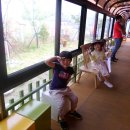 초록별숲유치원 이미지