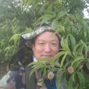 안말농장 이미지