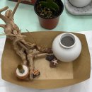 데이지멜트
