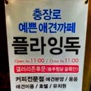 플라잉독 이미지