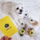 꽃댕이 멍집사 이미지