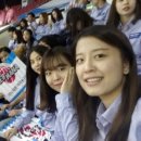 윙고(WINGO)