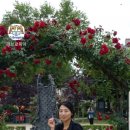 리첼작은도서관 이미지