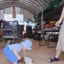 후니농장 이미지