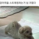 뭉탱이 - 사하구 | 뭉탱이