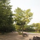 (주)나비원 이미지