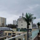 장어대가 이미지