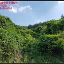 적곡리 마을회관 이미지