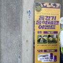 쌈빠강정 | K2 광양 전남 드래곤즈 vs 수원 삼성 축구 직관 후기 240625 포토덤프 챌린지