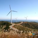 언덕위에 풍차 이미지