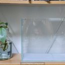 물고기(물과의 만남 이미지