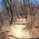 강남-293 이미지