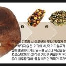 지움송도 이미지