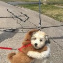 신세계가정의학과의원 이미지