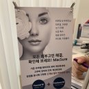 초이몽