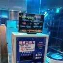 고래고래 코인노래연습장 이미지