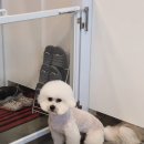 제이앤제이그루밍 이미지