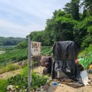 안동묵집 이미지