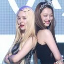 펫다이어리 이미지