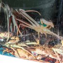 이오유통 이미지