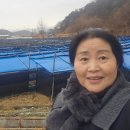 꺼먹돼지 이미지