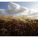 뚝길따라 이미지