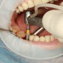 연세한치과의원 이미지