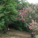 대자연농원 이미지