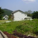 산드레 이미지