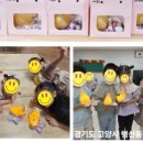 운광초교(병설) 이미지