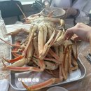 또순이회양념