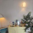 시랑이랑 이미지