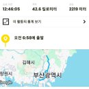 부산 금백엄승길 이미지