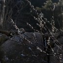 지리산청산별곡 이미지