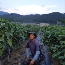 이상열농장 이미지