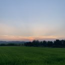 춘애밥집 이미지