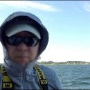 광어생각 이미지